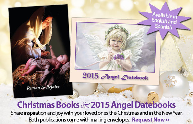 Christmas Books and 2015 Angel Datebooks