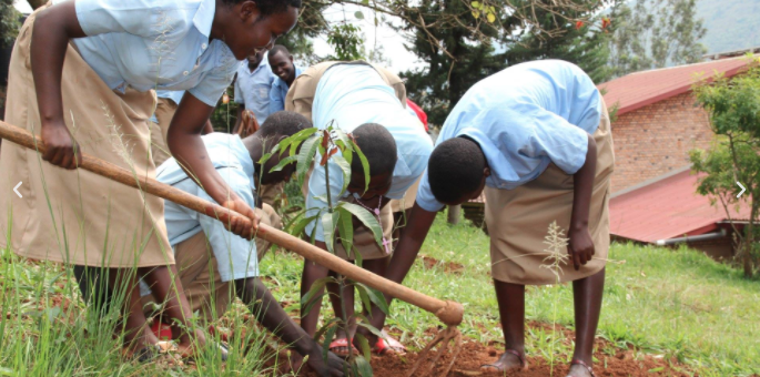 WORLD ENVIRONMENT DAY: Salesian Missions highlights Don Bosco Green Alliance in helping to promote environmental change through action, thought and policy