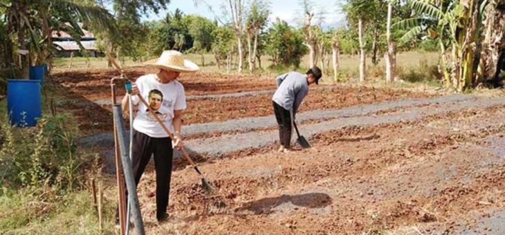 WORLD YOUTH SKILLS DAY: Salesian Missions highlights life-changing agriculture and technical training programs for poor youth