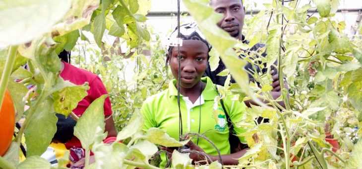 INTERNATIONAL DAY FOR THE ERADICATION OF POVERTY: Salesian Missions highlights educational initiatives that help break the cycle of poverty