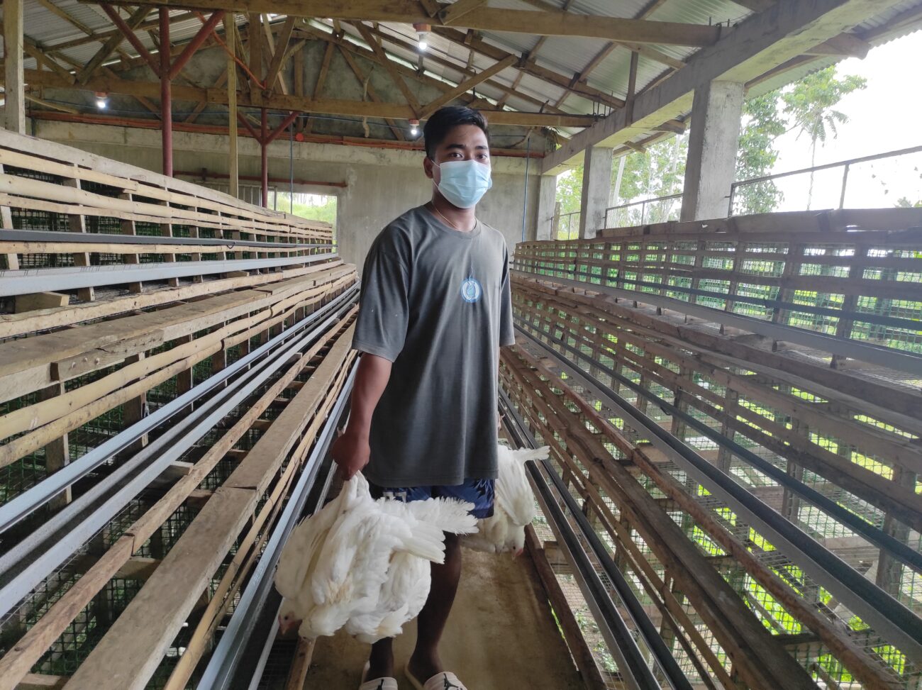 Donors from Salesian Missions provide Don Bosco Agro-Mechanical Technology Center in the Philippines with funding for 1,000 chickens to support farming entrepreneurship.