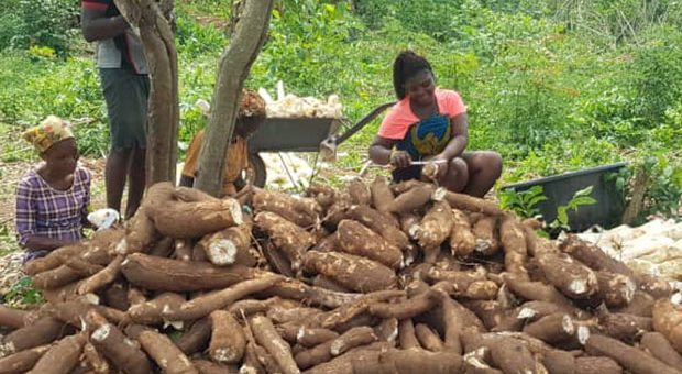 Growing Sustainable Futures from the Ground Up