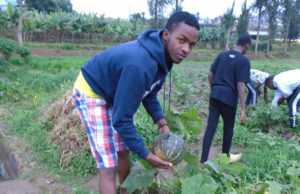 Despite positive economic growth and recent improvements to quality of life, food insecurity and malnutrition remain stubborn adversaries in the fight against poverty and hunger in Rwanda