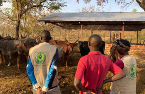 Our mission brings education to youth living in refugee camps, including the Palabek Refugee Camp in Uganda, where migrants have the opportunity to learn vocational skills, like animal care and farming, to make a sustainable living.