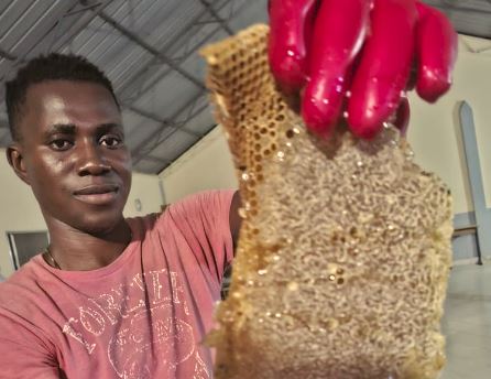 Aug 2025 PR - THE GAMBIA: Salesian missionaries increase beekeeping activity thanks to donor funding from Salesian Missions