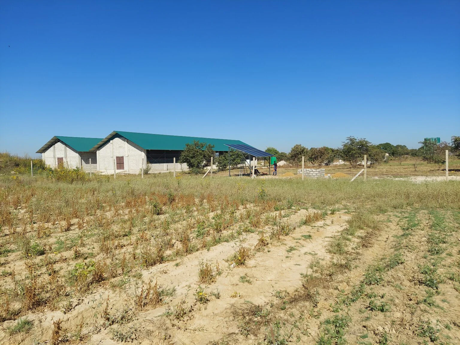 Aug 2026 PR - ZAMBIA: Don Bosco Makululu further develops farm with donor funding from Salesian Missions