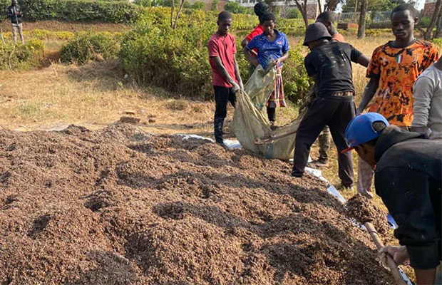 Oct 2026 - enews - story 3 - burundi - cultivating mushrooms to fight student hunger